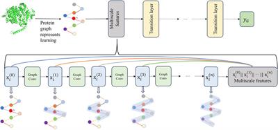 MGPPI: multiscale graph neural networks for explainable protein–protein interaction prediction
